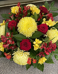 Coussin rouge et jaune