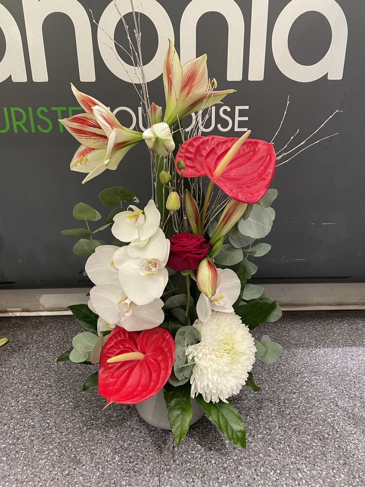 Composition amaryllis et anthurium corail
