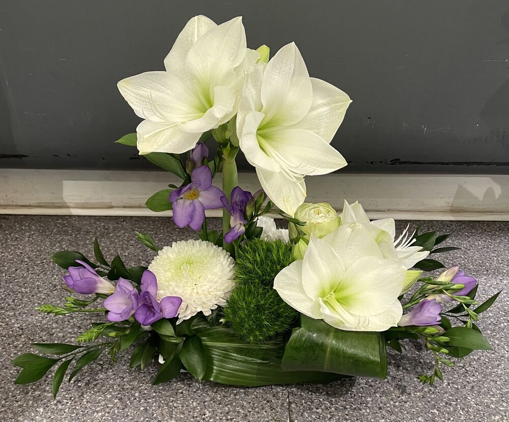 Composition amaryllis blanc et freesias mauves