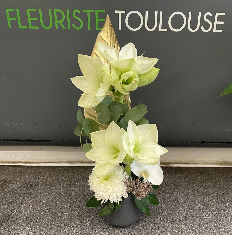 Composition amaryllis blanc sur pied