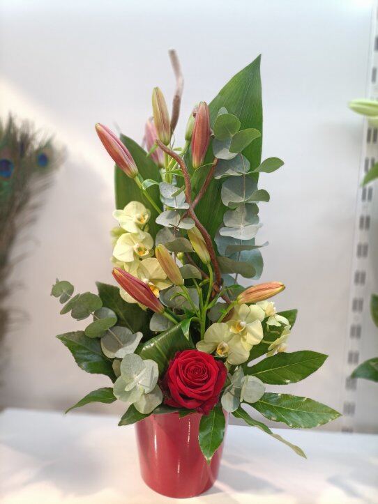 Composition anthurium rouge et amaryllis blanc