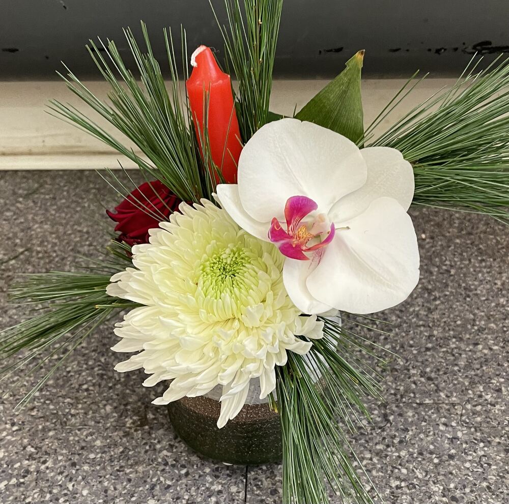 Composition festive avec anthurium rouge et pin