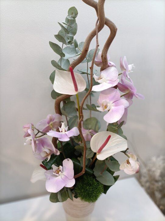 Composition orchidées et branches courbées