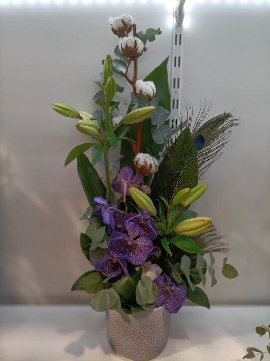 Composition orchidée vanda violette sur pied