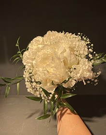 Gros plan sur des pivoines blanches