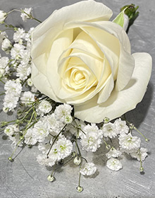 Boutonnière rose blanche et gypsophile