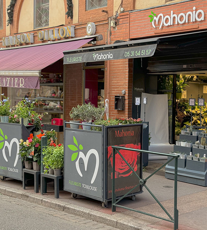 Boutique Mahonia Fleuriste Toulouse
