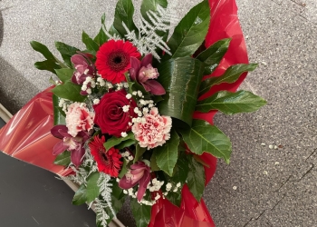 MAHONIA – Fleuriste à Toulouse : Découvrez Nos 5 Compositions de Noël Disponible